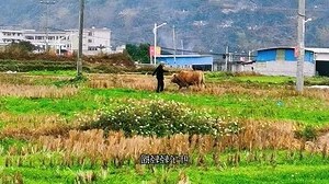 耘 意思